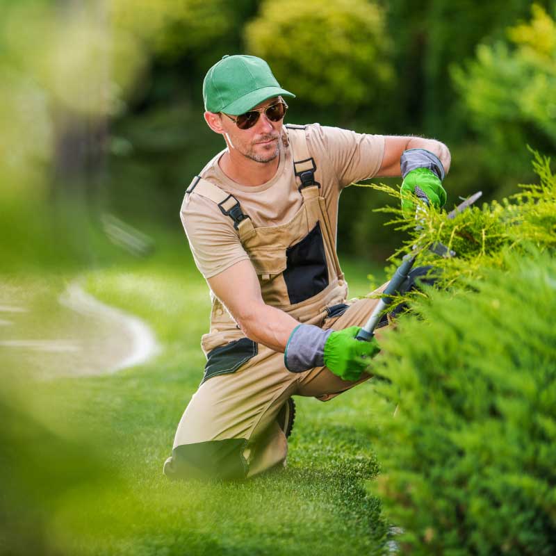 Grünflächenpflege mit Apido Clean