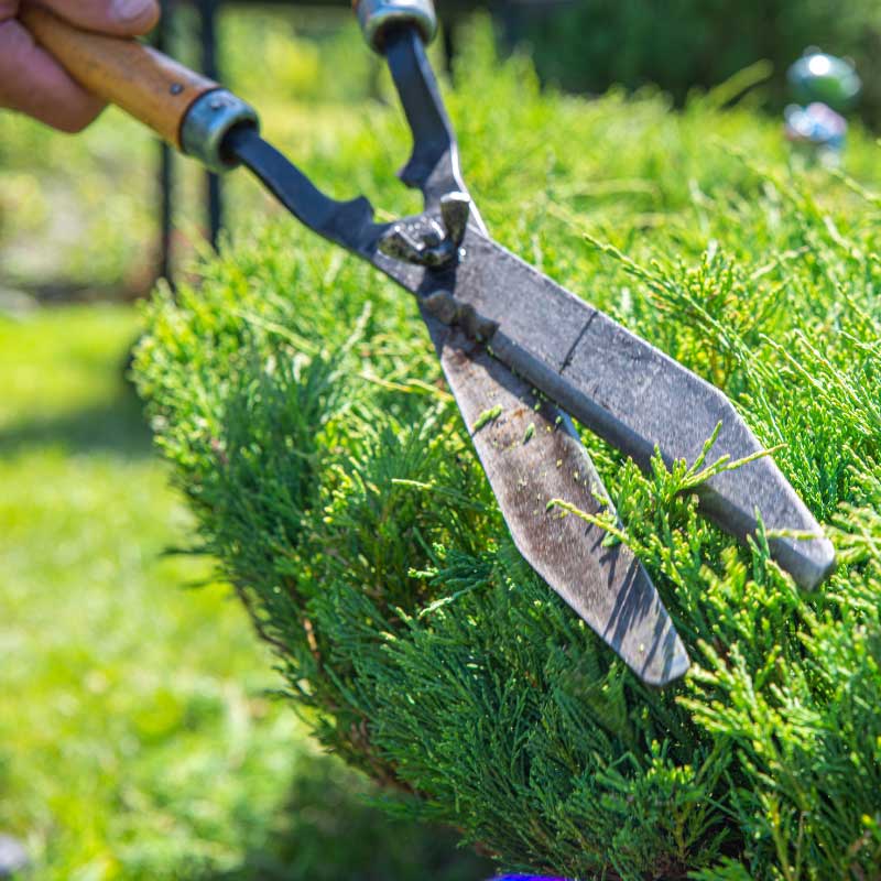 Apdio Clean ist die Reinigungsfirma mit Grünflächenpflege in Nufringen