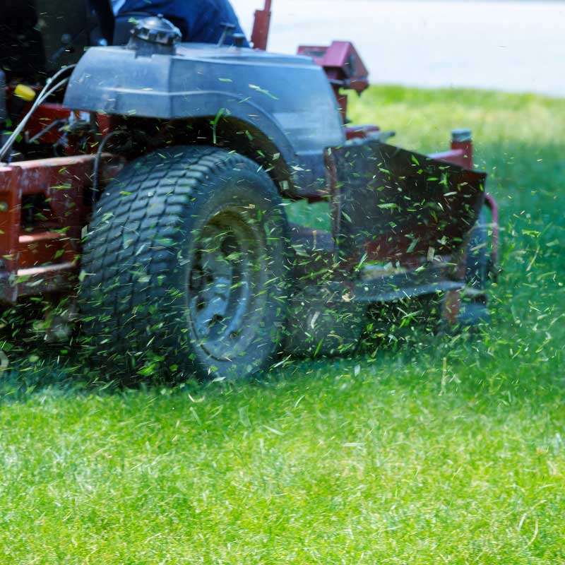 Apido ist ihr Partner für Gartenpflege in Korntal-Münchingen