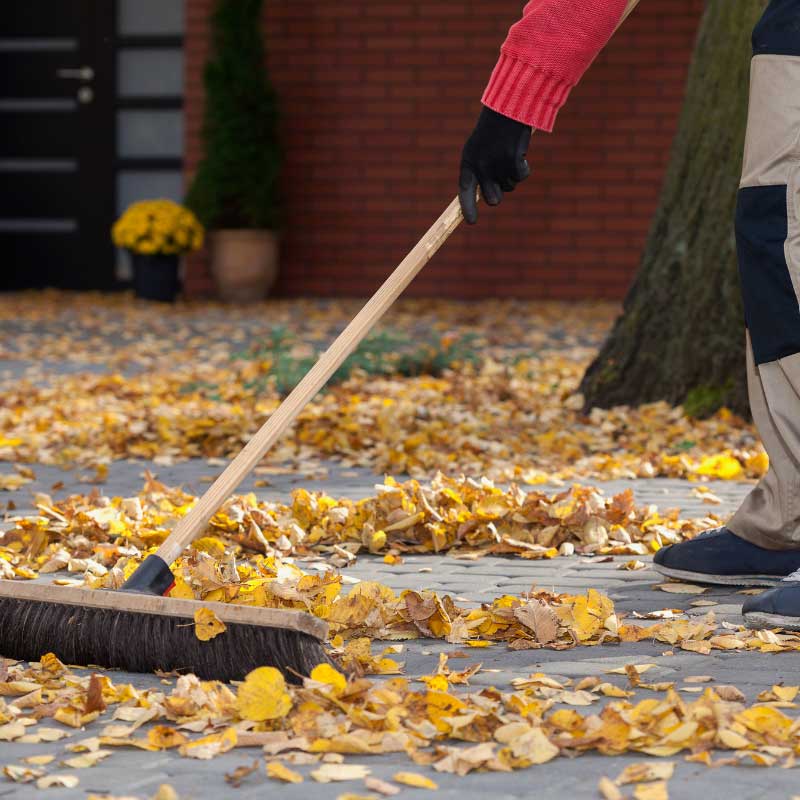 Beauftragen Sie den erstklassigen Hausmeisterservice in Bempflingen bei der Apido Clean GmbH