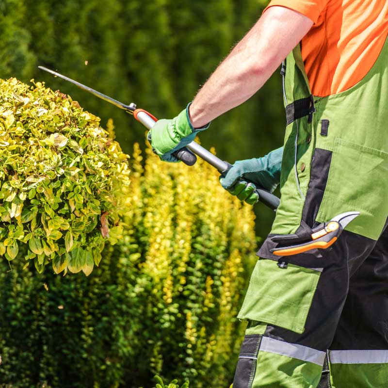 Die Apido Clean GmbH pflegt ihren Garten und die Außenflächen in Deizisau