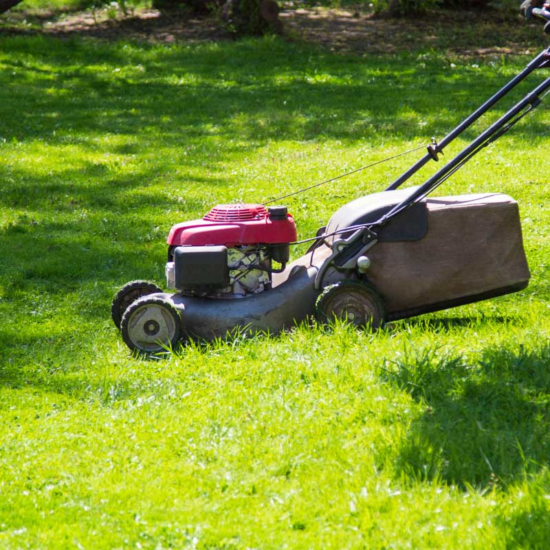 Die Apido Clean GmbH sorgt in Nebringen für gepflegt Außenflächen und Gärten