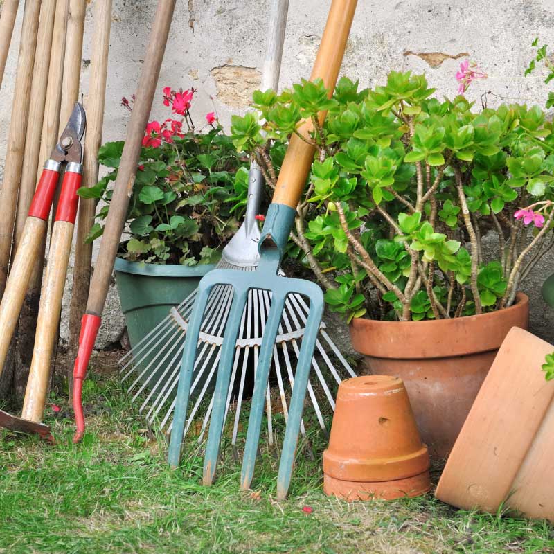 Gartenpflege in Altingen vom Profi