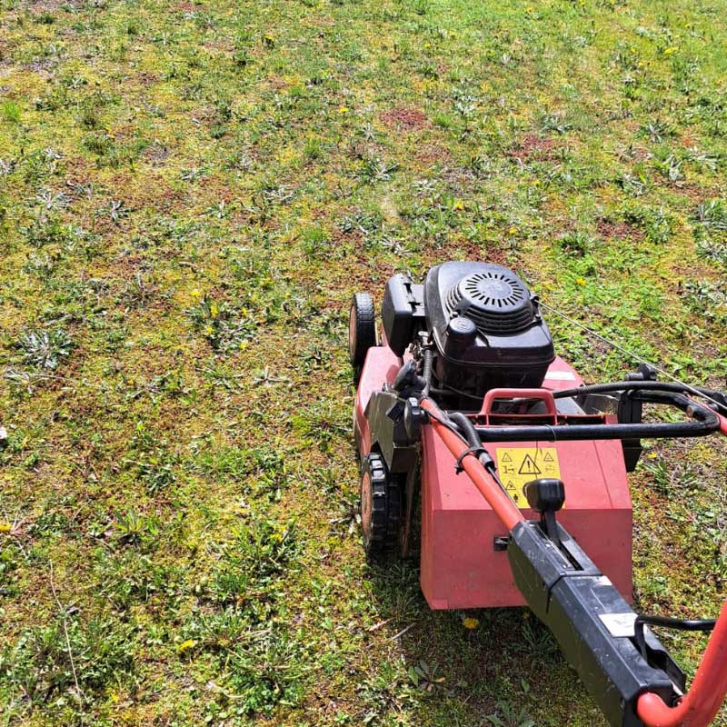 Gartenservices von der Apido Clean GmbH in Riederich