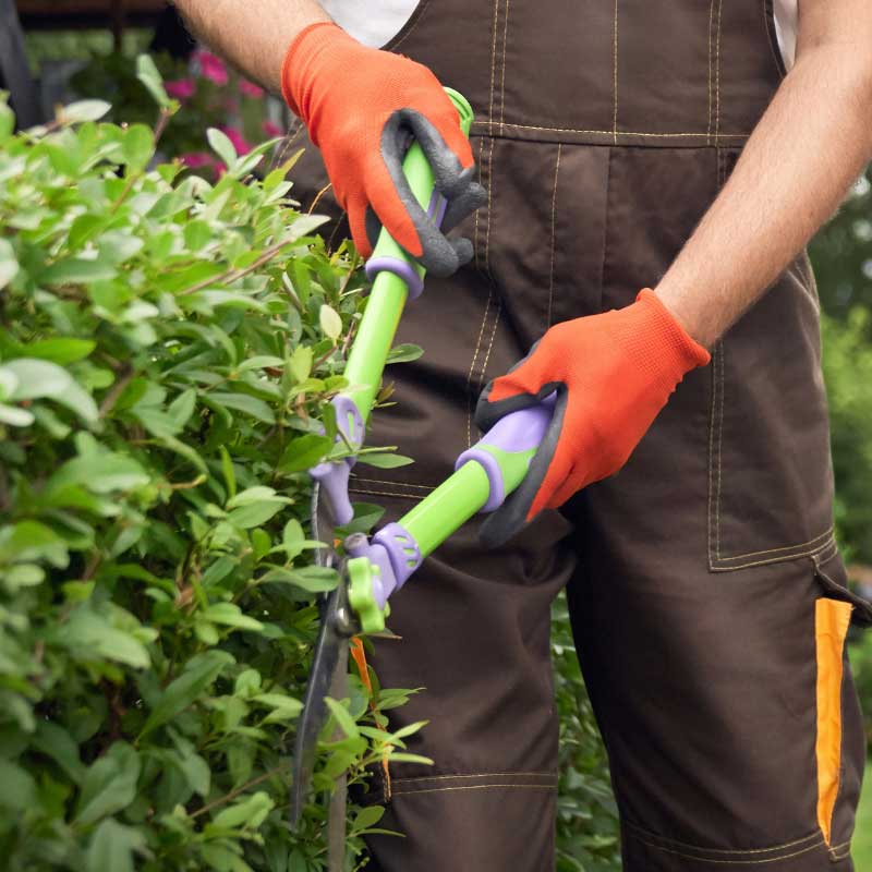 Grünflächenpflege in Weilheim an der Teck mit der Firma Apido Clean