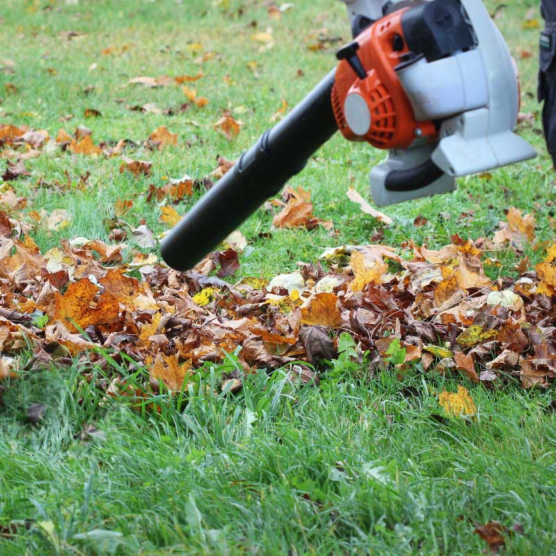 Grünflächenpflege von Apido Clean in Tailfingen günstig buchen