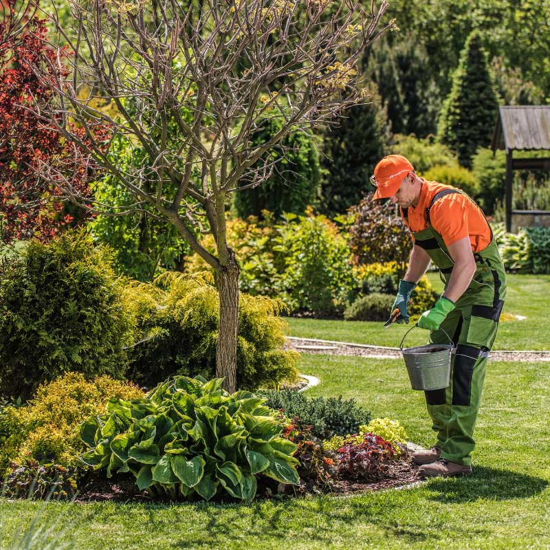 Hochwertige Grünanlagenpflege von der Reinigungsfirma Apido Clean GmbH in Ditzingen