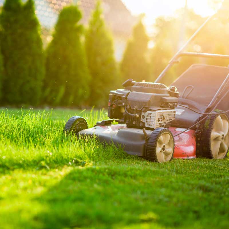 Ihr Partner Apido Clean GmbH pflegt Außenanlagen in Ludwigsburg
