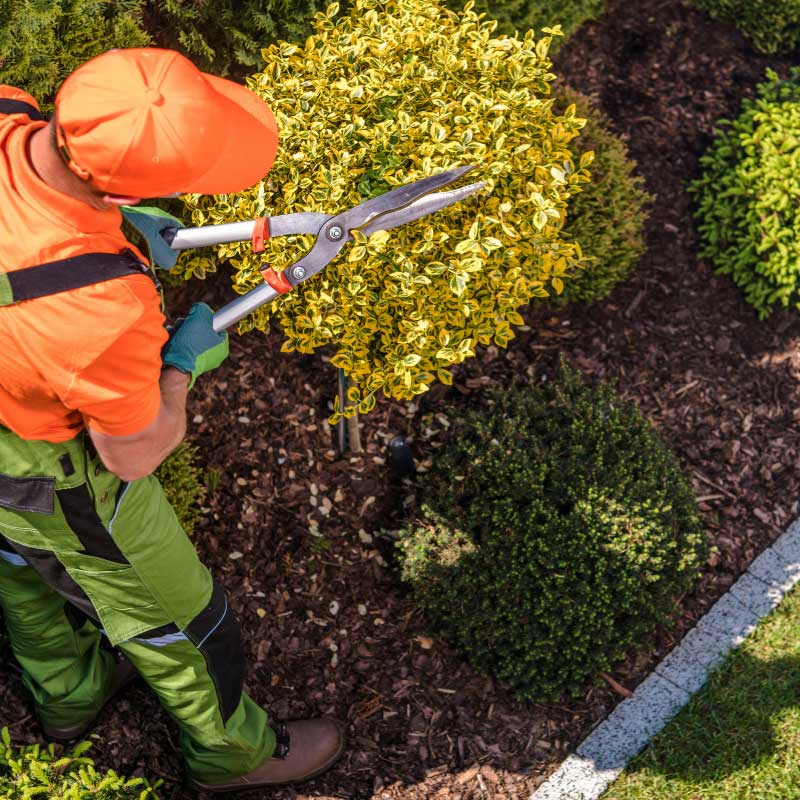 Professionelle Gärtner im Ort Deckenpfronn mit der Apido Clean GmbH