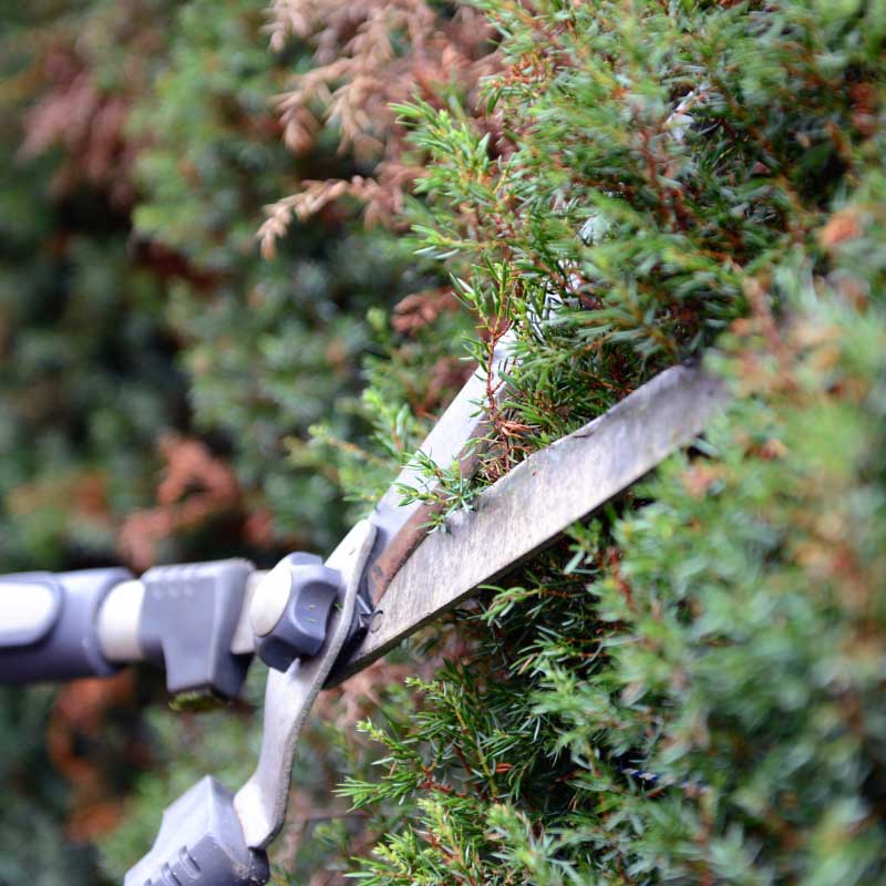Professionelle Garten- & Außenpflege in Pliezhausen von Apido