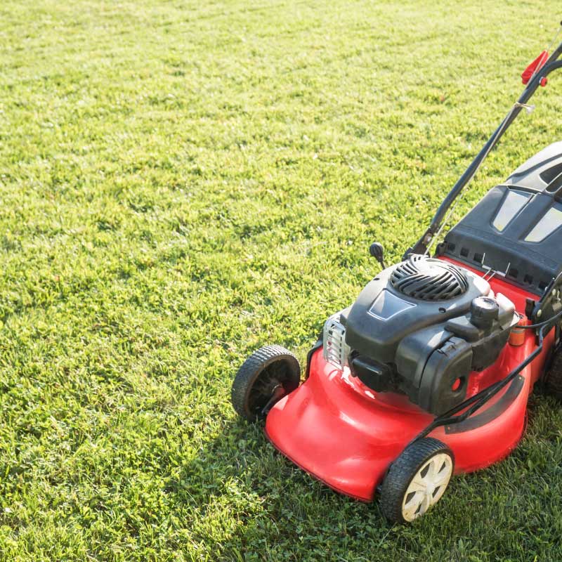 Rasen mähen und Bäume schneiden in Markgröningen von der Apido Clean GmbH. Ihr Partner für Gartenpflege.