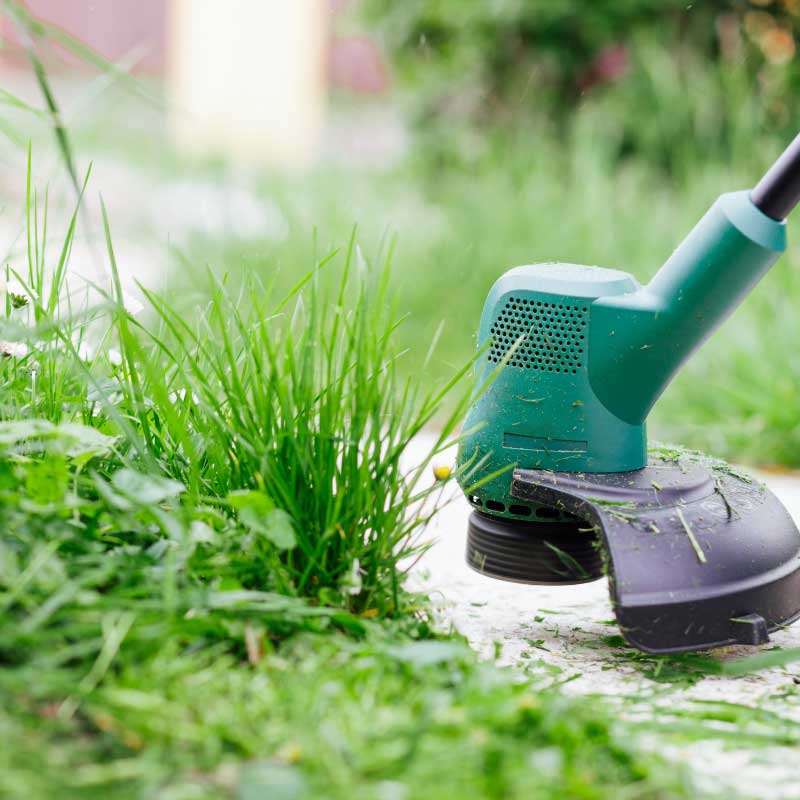Rasen mähen und Bäume schneiden in Weil der Stadt. Gartenpflege mit Apido.