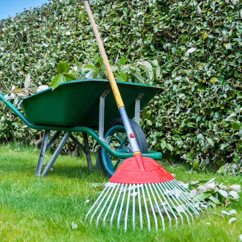 Schöckingen Gartenpflege bei Apido jetzt günstig buchen