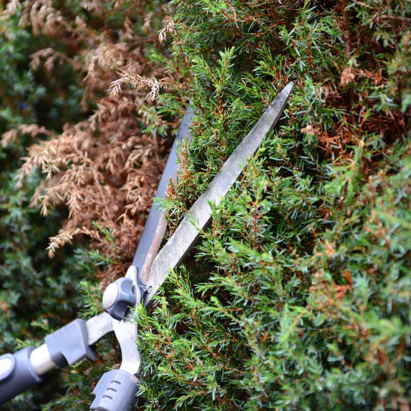 Umfassende Garten- und Grünflächenpflege in Plochingen von der Apido Clean GmbH