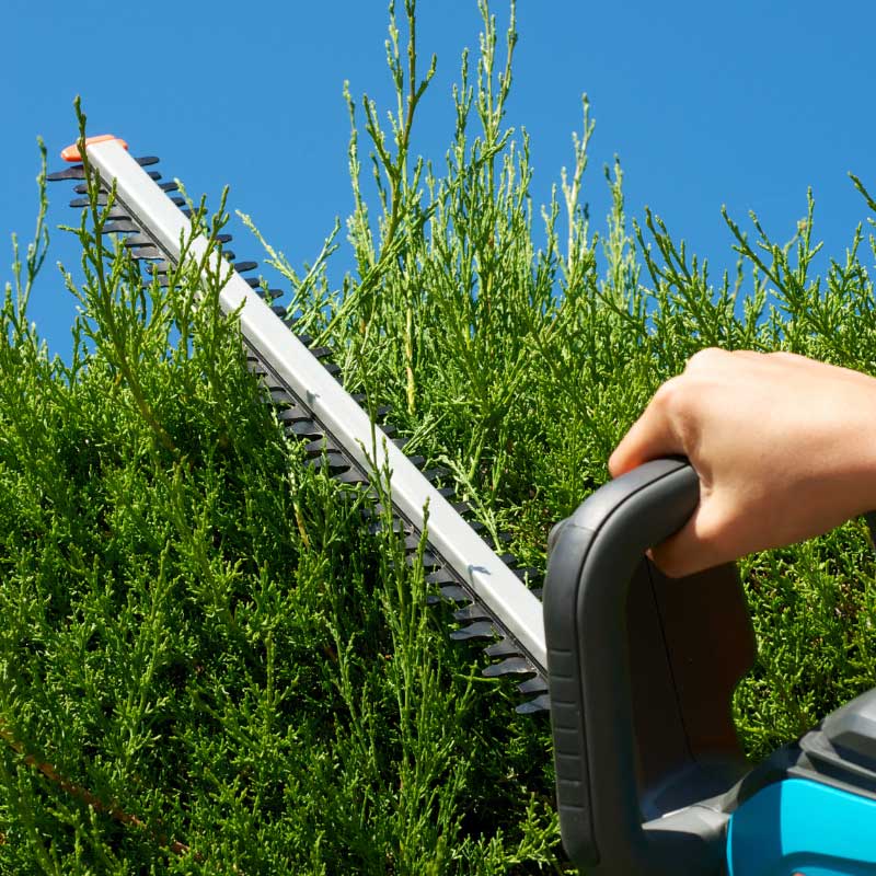 Wir von Apido pflegen ihren Garten in Ostelsheim