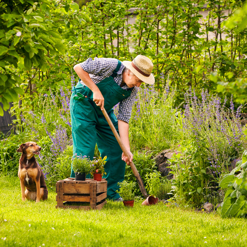 Gartenpflege jetzt buchen bei Apido Clean