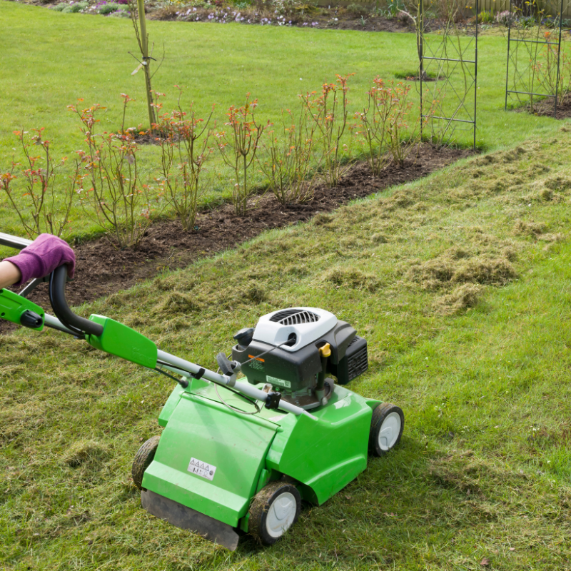Günstige Gartenarbeiten jetzt bei Apido Clean in Kernen im Remstal